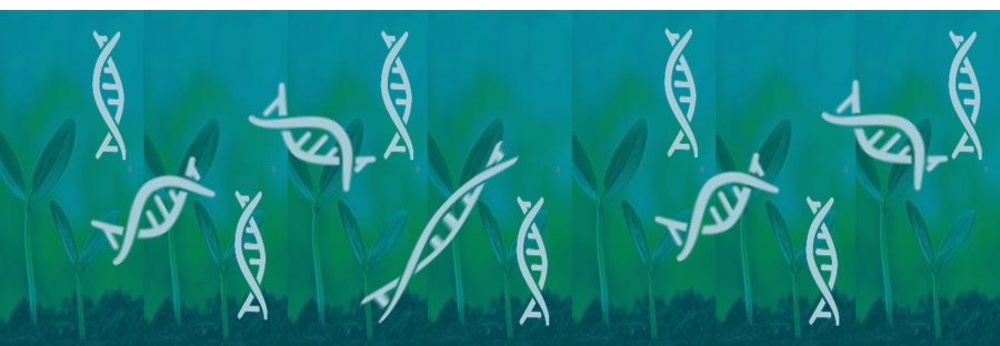 Ogólnopolskie Sympozjum Mikrobiologiczne „METAGENOMY RÓŻNYCH ŚRODOWISK”