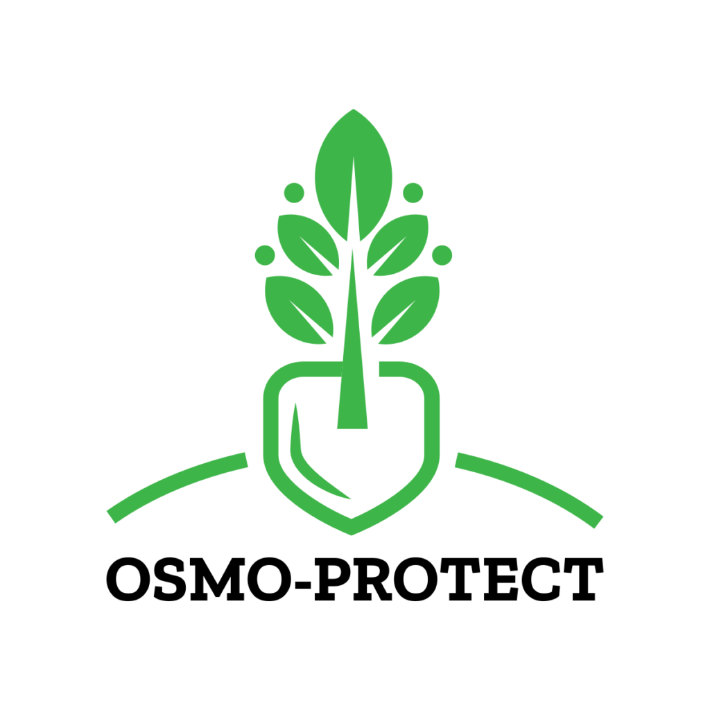 Podsumowanie prac zrealizowanych w 2024 roku