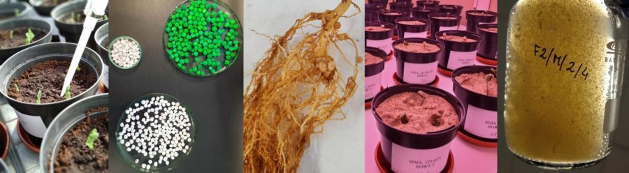 Konferencja Naukowa pt. „Preparaty mikrobiologiczne w rolnictwie i ochronie środowiska” 27-28.05.2025