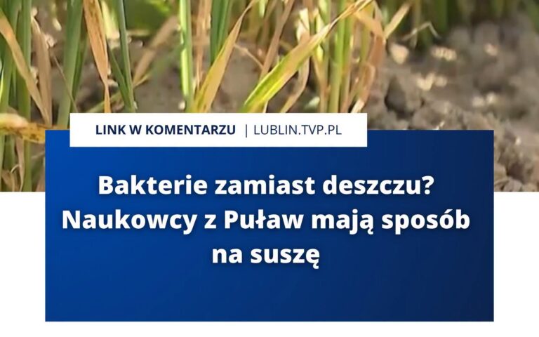 Materiał dotyczący projektu OSMO-PROTECT w TVP3 Lublin